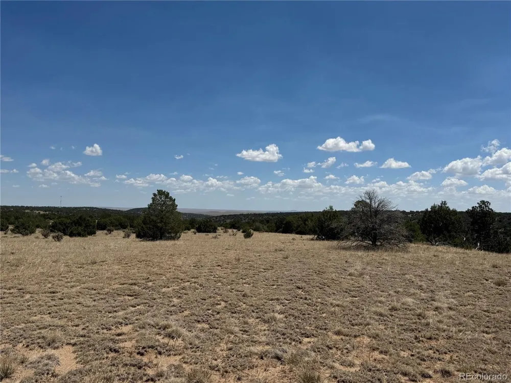 Twin Lakes Ranches Walsenburg, CO 81089