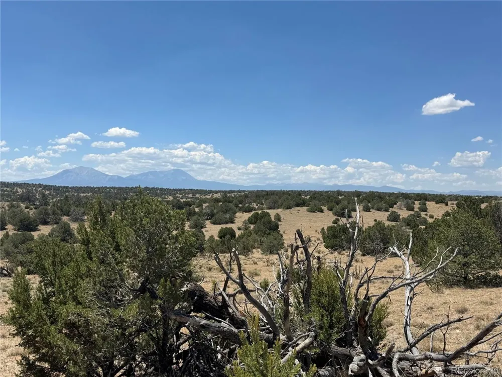 Twin Lakes Ranches Walsenburg, CO 81089