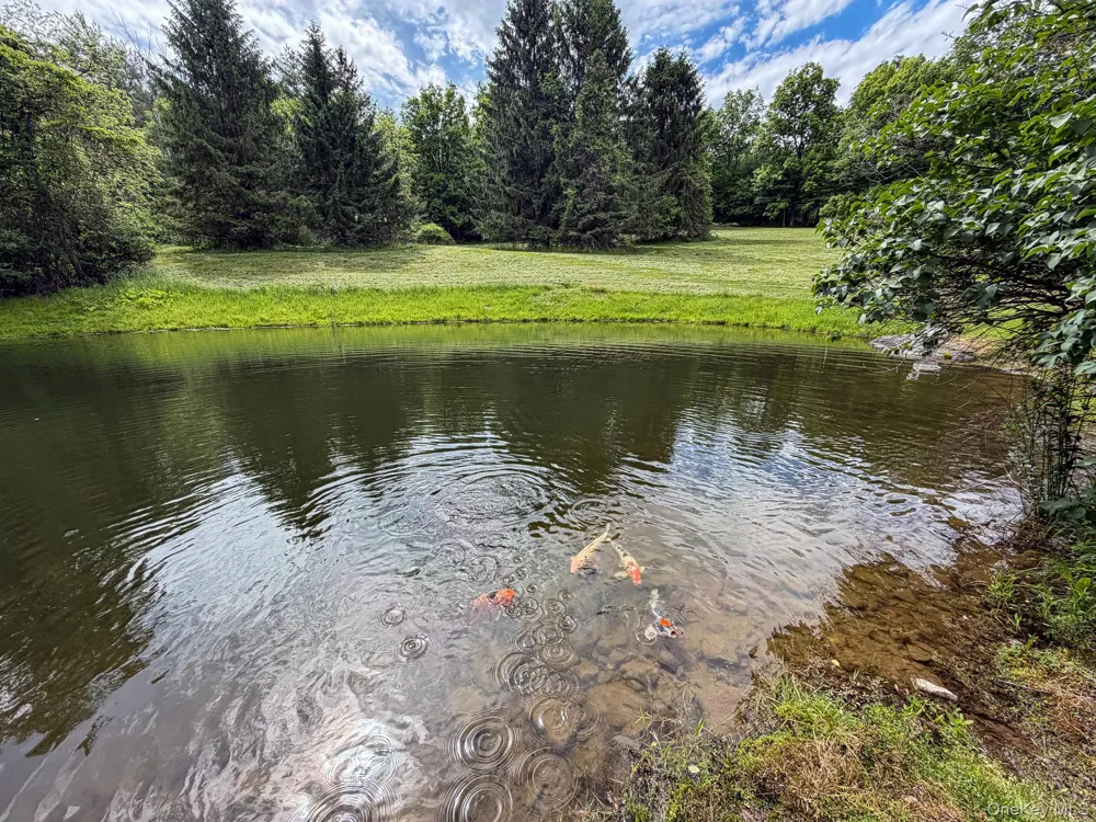 221 Camp Medusa Road Call Listing Agent, NY 12147