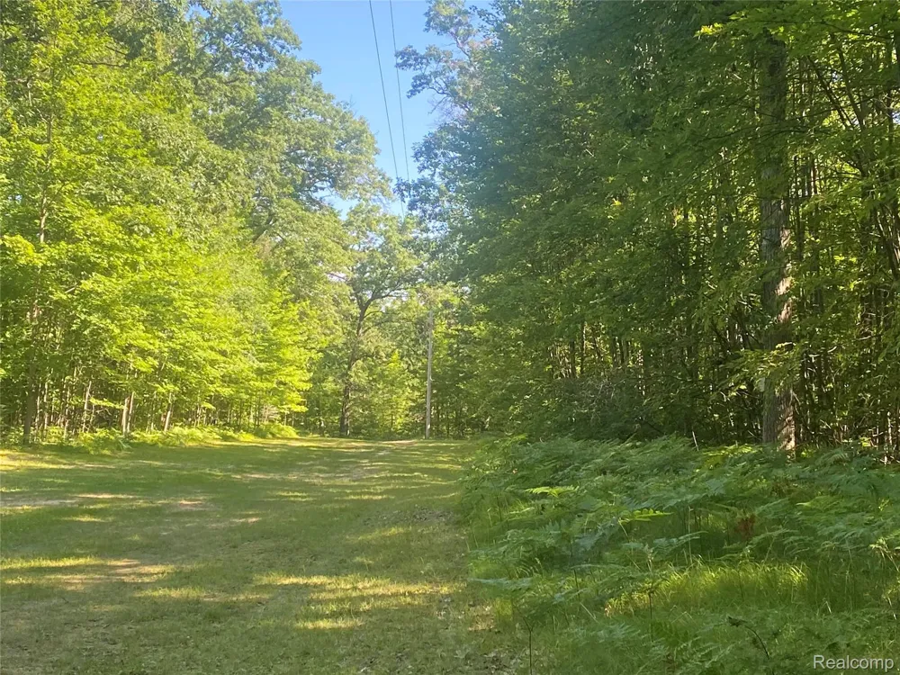 5107 Hunters Run Drive Richfield Township, MI 48656