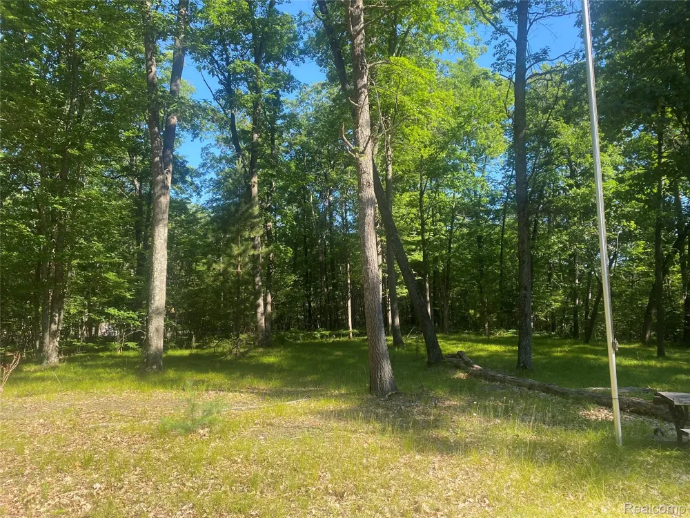 5107 Hunters Run Drive Richfield Township, MI 48656