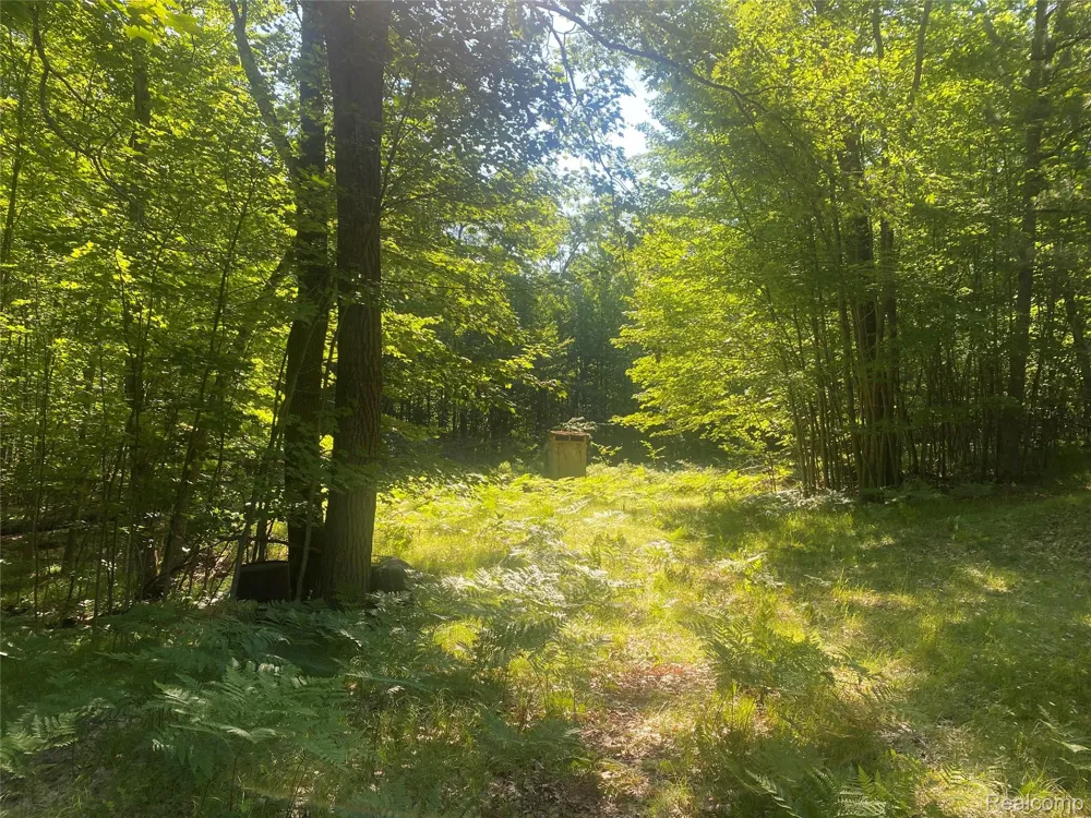 5107 Hunters Run Drive Richfield Township, MI 48656