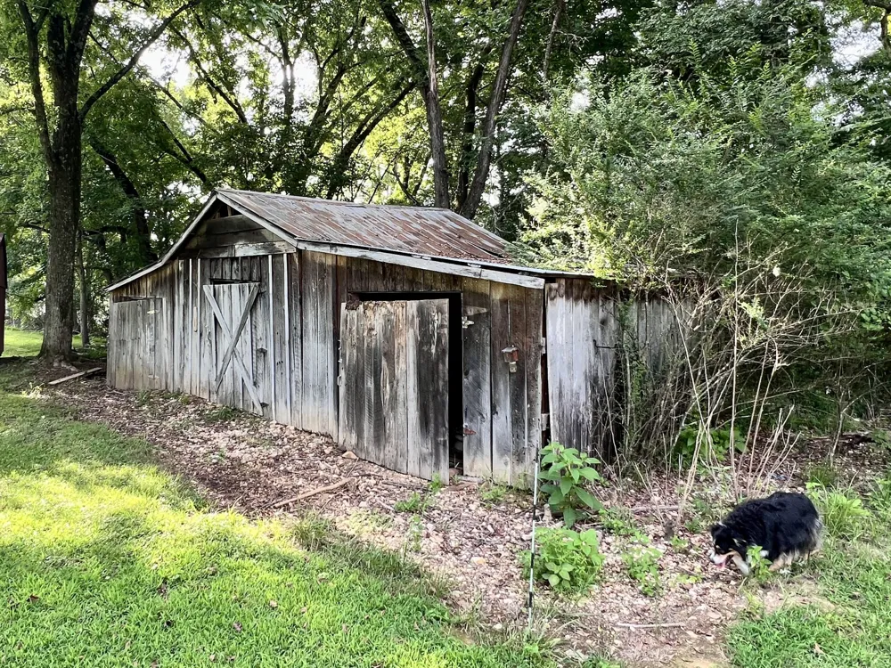 111 Gus Wallace Rd Bumpus Mills, TN 37028