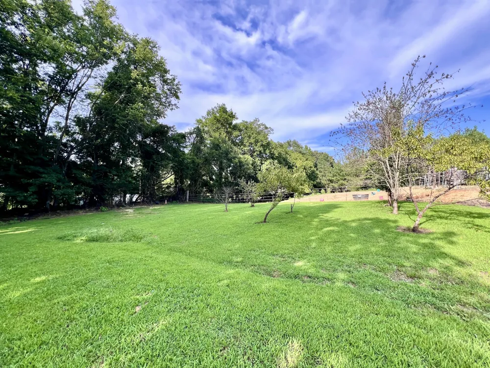 111 Gus Wallace Rd Bumpus Mills, TN 37028
