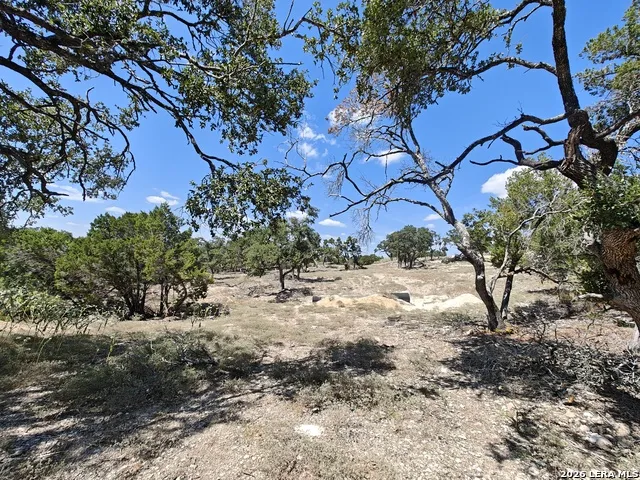 2219 HILINE DR Bulverde, TX 78163