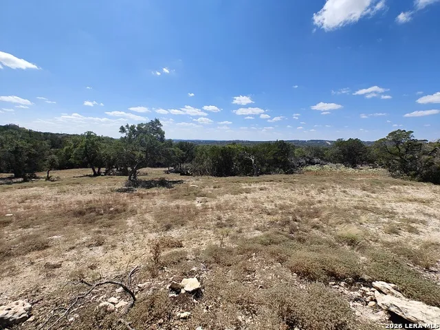 2219 HILINE DR Bulverde, TX 78163