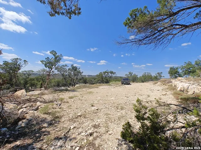 2219 HILINE DR Bulverde, TX 78163