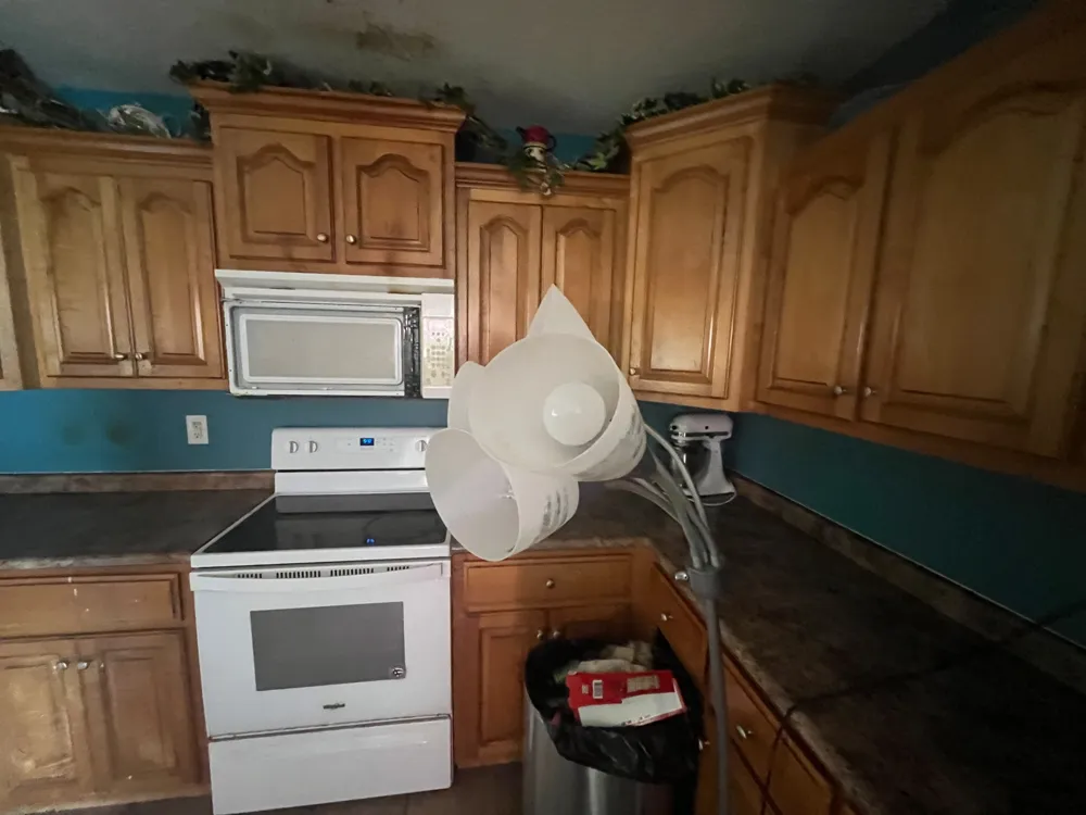 460 Kendyl Cv Henderson, TN 38340