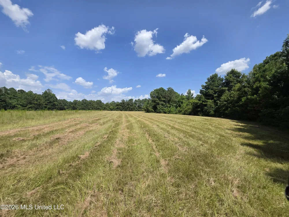 Mount Carmel Road Prentiss, MS 39474