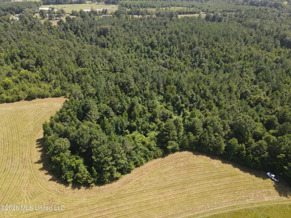 Mount Carmel Road Prentiss, MS 39474