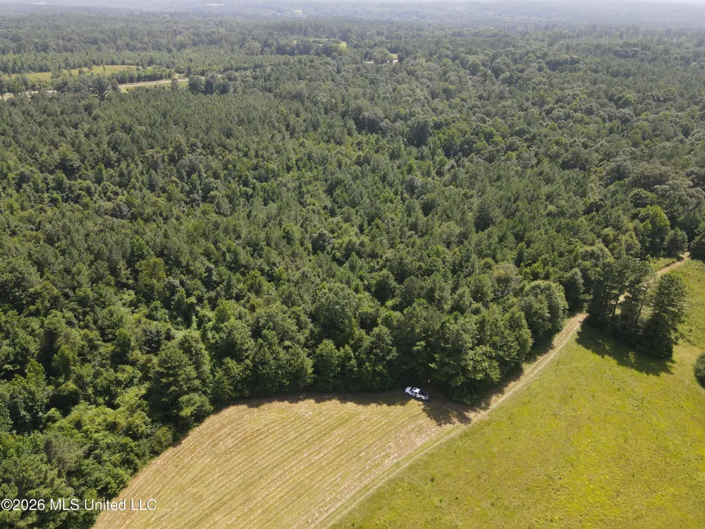 Mount Carmel Road Prentiss, MS 39474