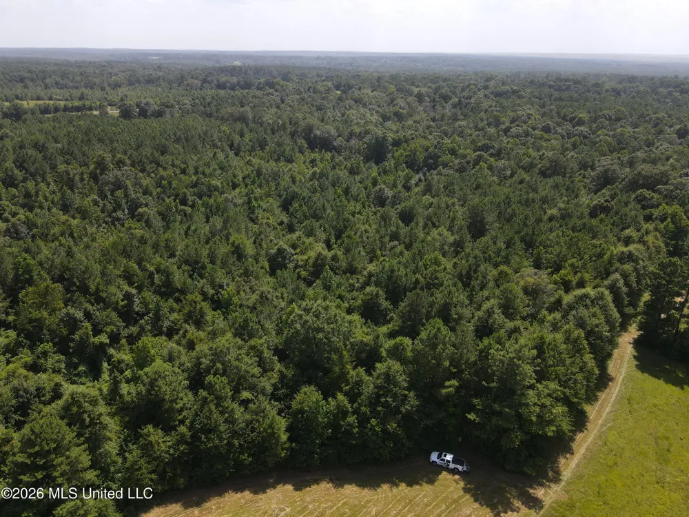Mount Carmel Road Prentiss, MS 39474