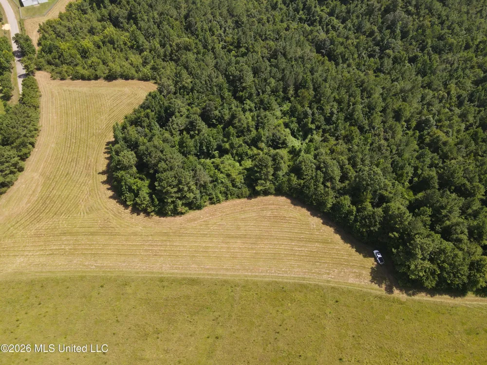 Mount Carmel Road Prentiss, MS 39474