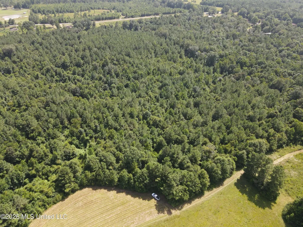 Mount Carmel Road Prentiss, MS 39474