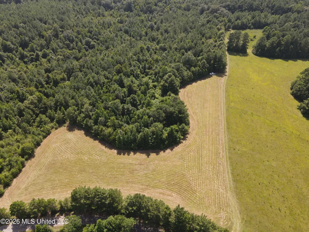 Mount Carmel Road Prentiss, MS 39474