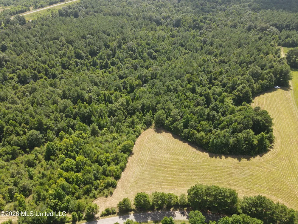 Mount Carmel Road Prentiss, MS 39474