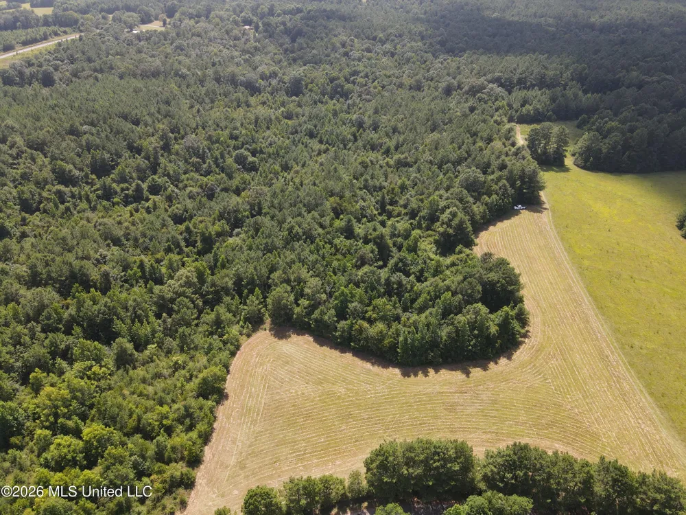 Mount Carmel Road Prentiss, MS 39474