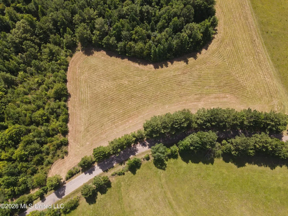 Mount Carmel Road Prentiss, MS 39474