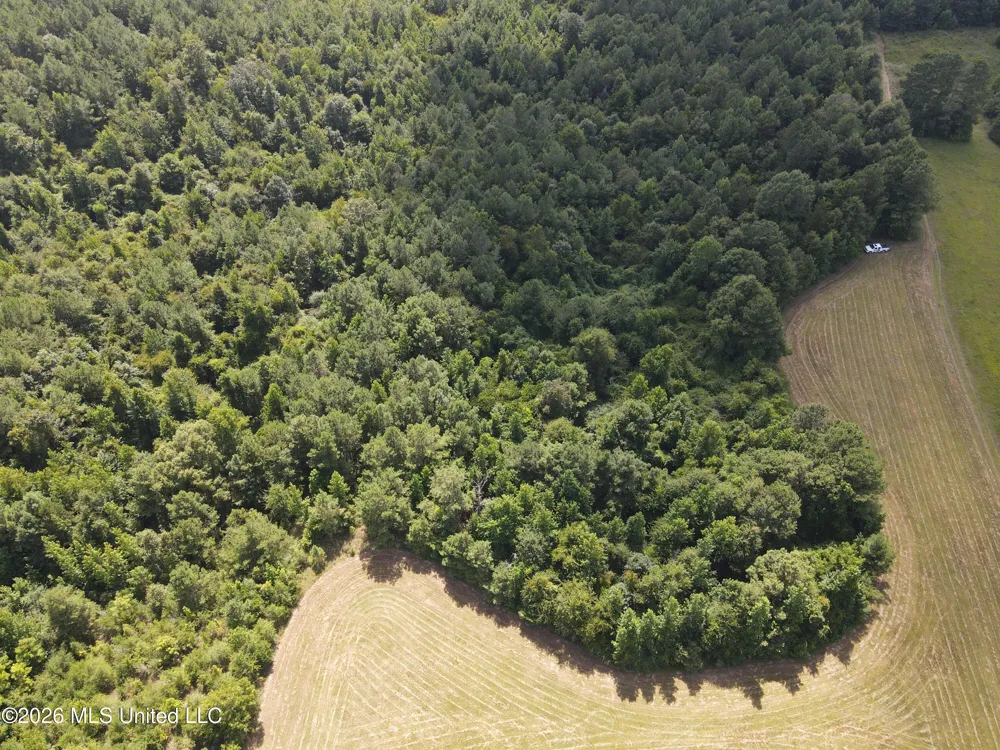 Mount Carmel Road Prentiss, MS 39474