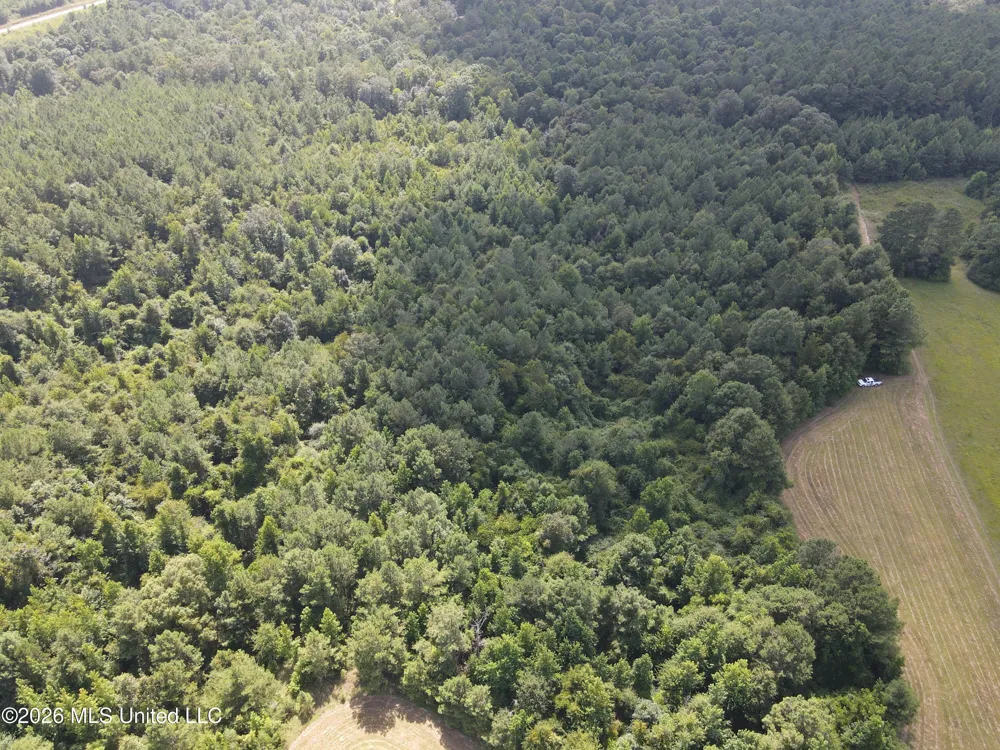 Mount Carmel Road Prentiss, MS 39474