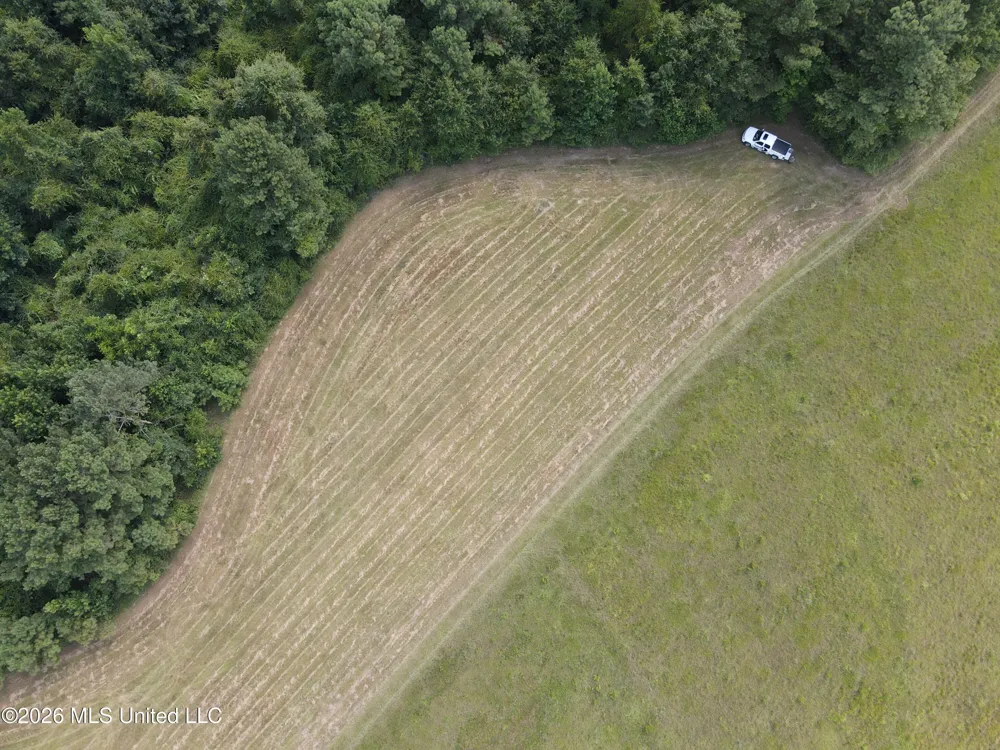Mount Carmel Road Prentiss, MS 39474