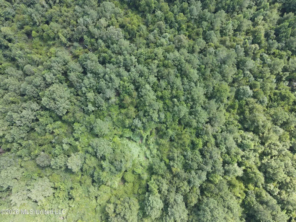 Mount Carmel Road Prentiss, MS 39474