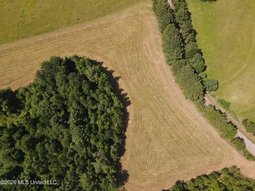 Mount Carmel Road Prentiss, MS 39474