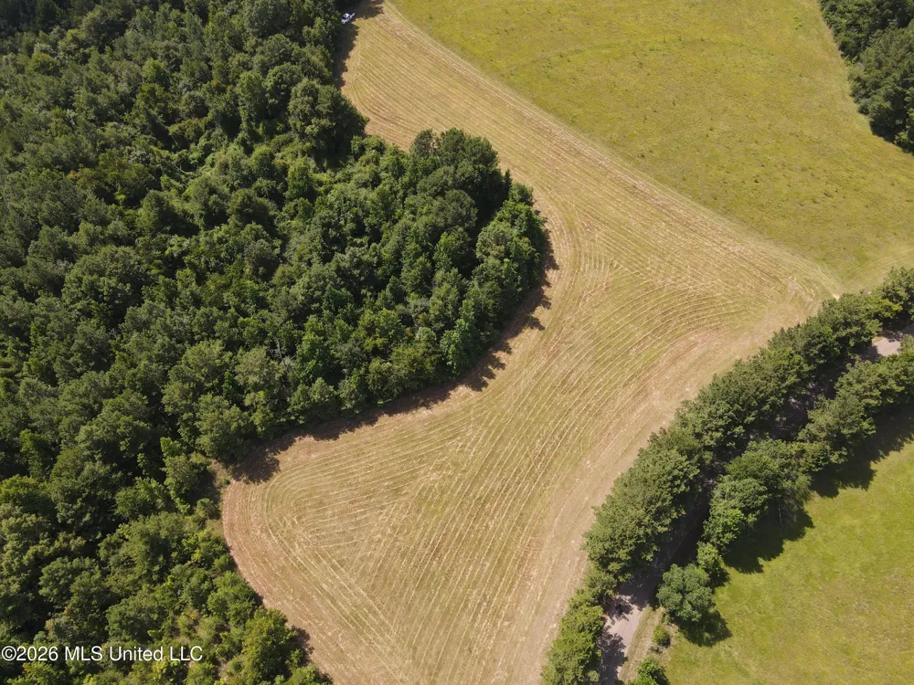 Mount Carmel Road Prentiss, MS 39474