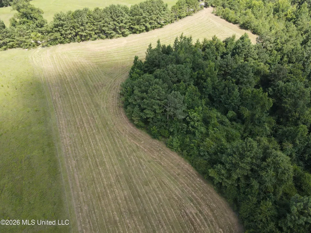 Mount Carmel Road Prentiss, MS 39474