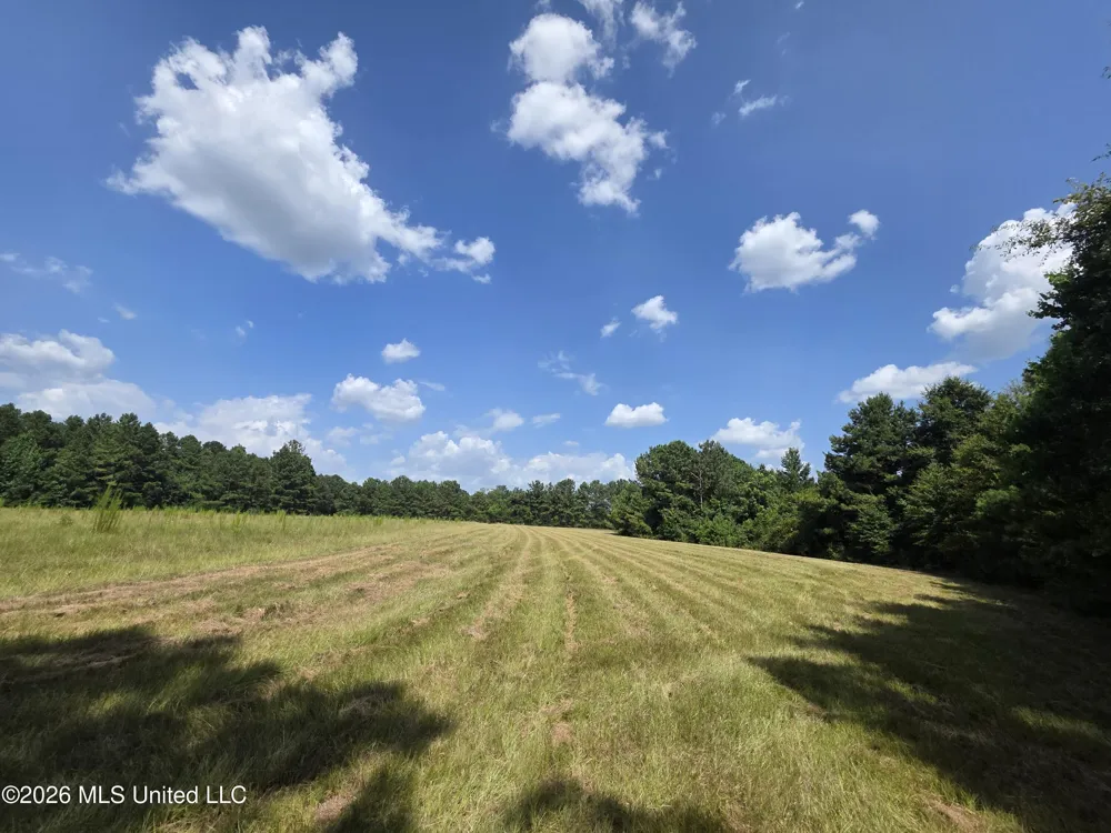 Mount Carmel Road Prentiss, MS 39474