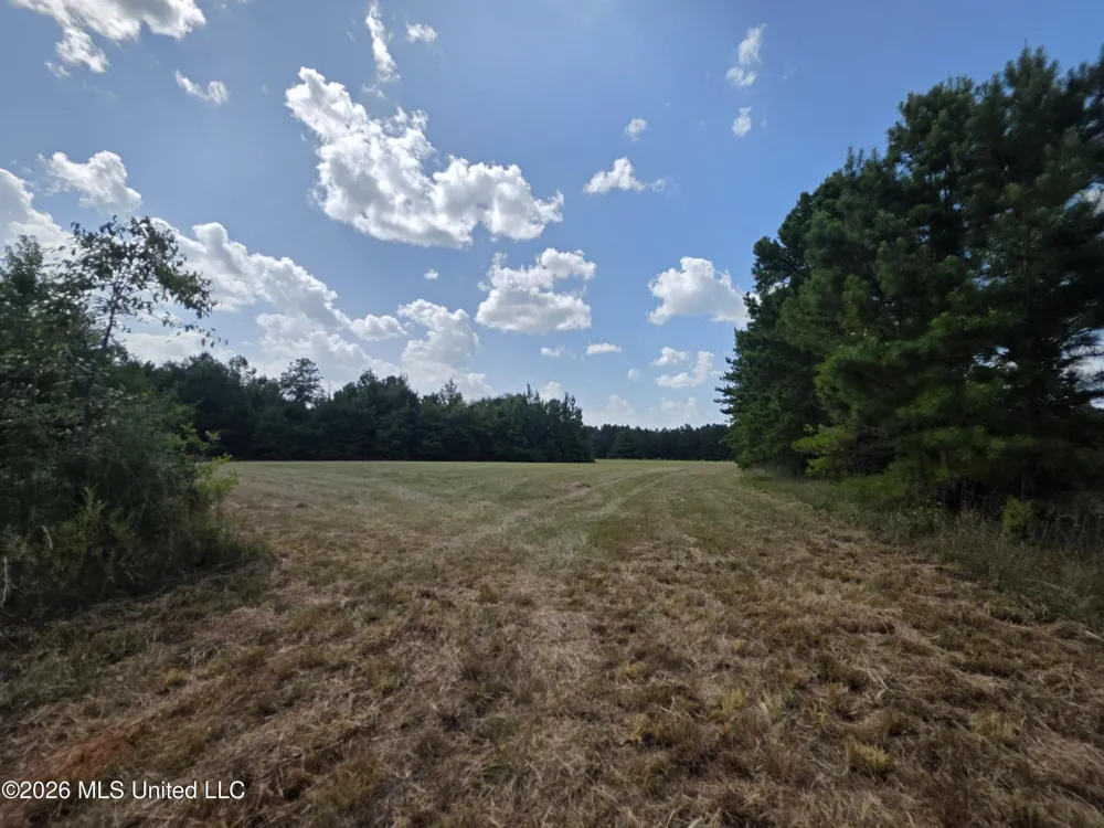Mount Carmel Road Prentiss, MS 39474