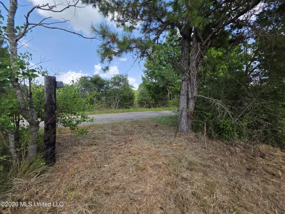 Mount Carmel Road Prentiss, MS 39474