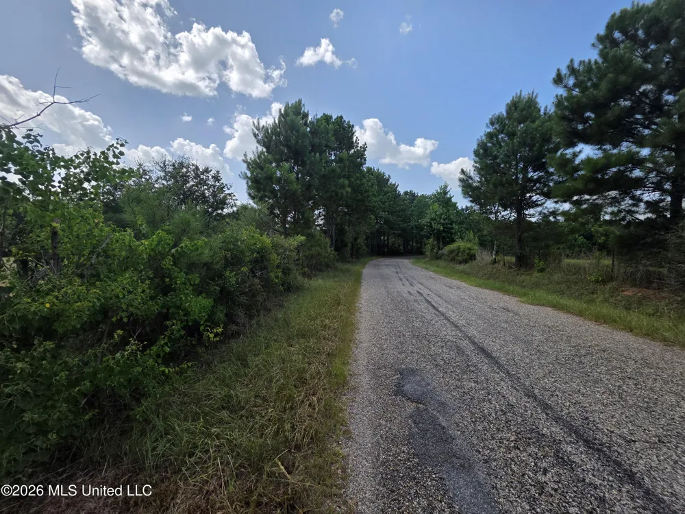 Mount Carmel Road Prentiss, MS 39474