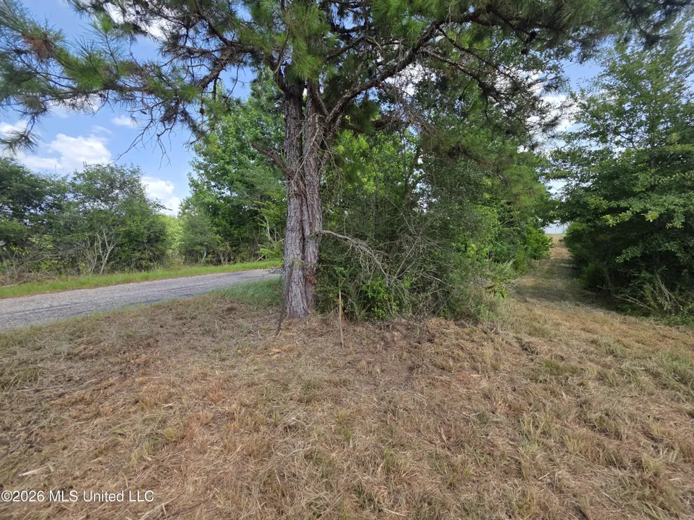 Mount Carmel Road Prentiss, MS 39474