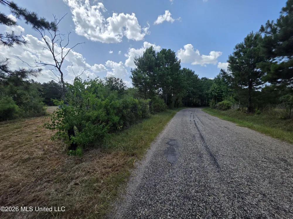 Mount Carmel Road Prentiss, MS 39474
