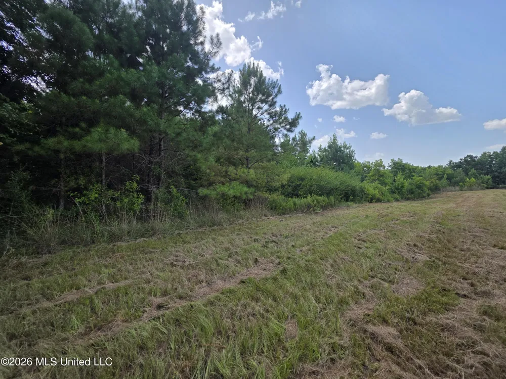 Mount Carmel Road Prentiss, MS 39474