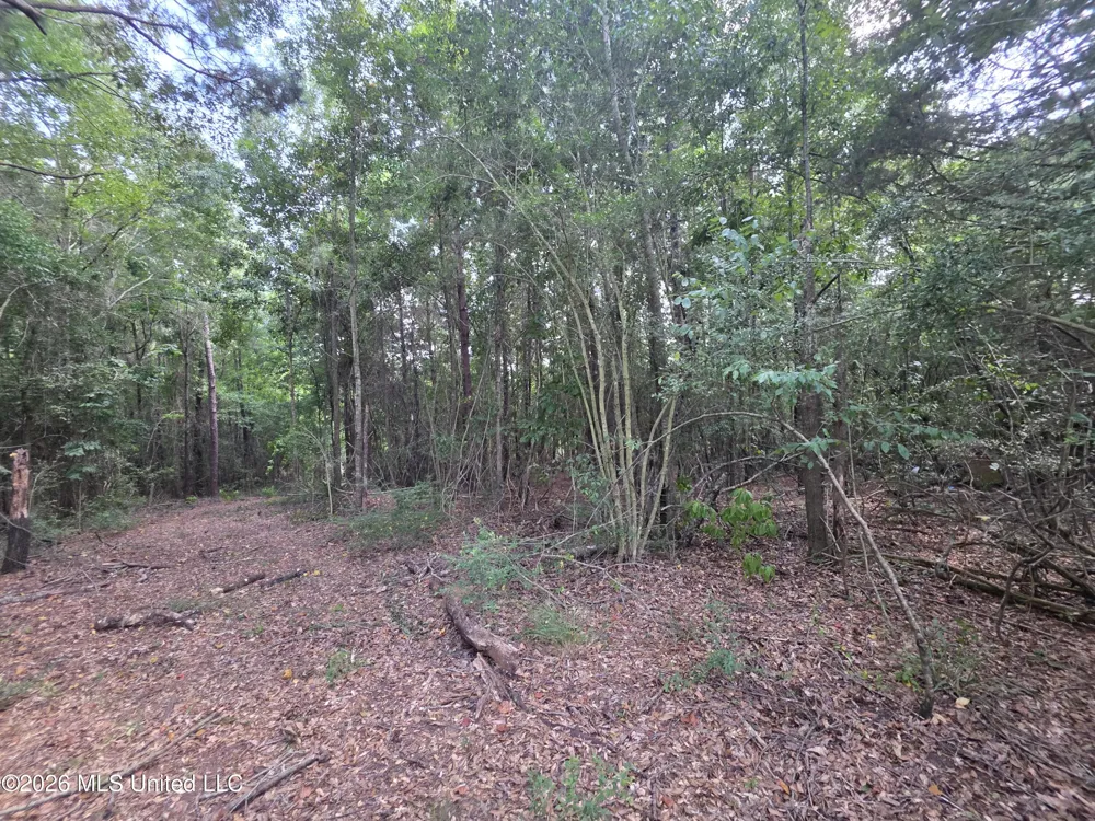 Mount Carmel Road Prentiss, MS 39474