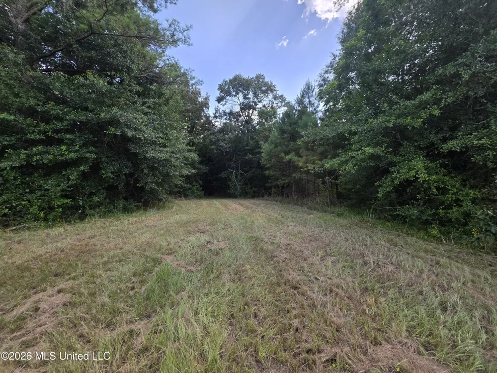 Mount Carmel Road Prentiss, MS 39474