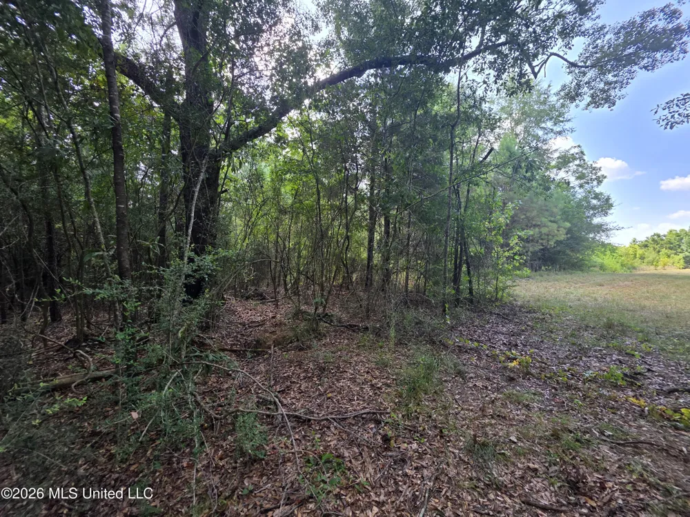 Mount Carmel Road Prentiss, MS 39474