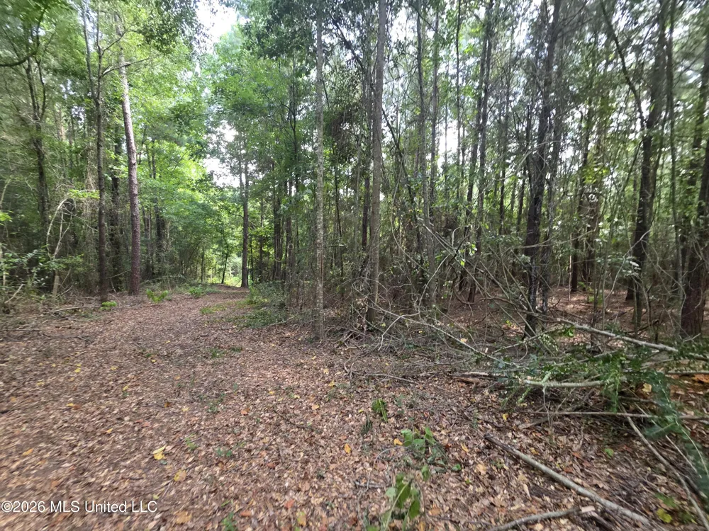 Mount Carmel Road Prentiss, MS 39474