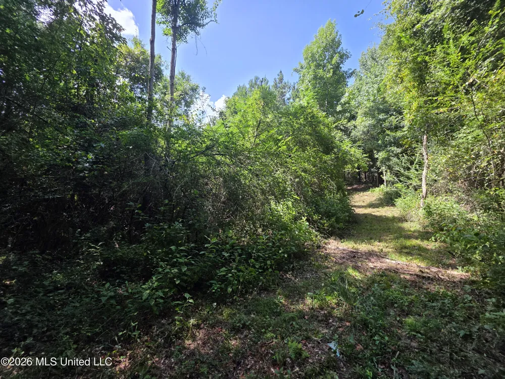 Mount Carmel Road Prentiss, MS 39474