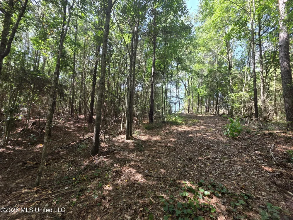 Mount Carmel Road Prentiss, MS 39474