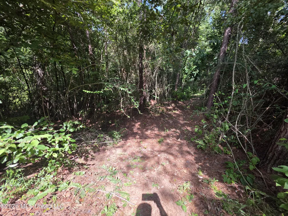Mount Carmel Road Prentiss, MS 39474