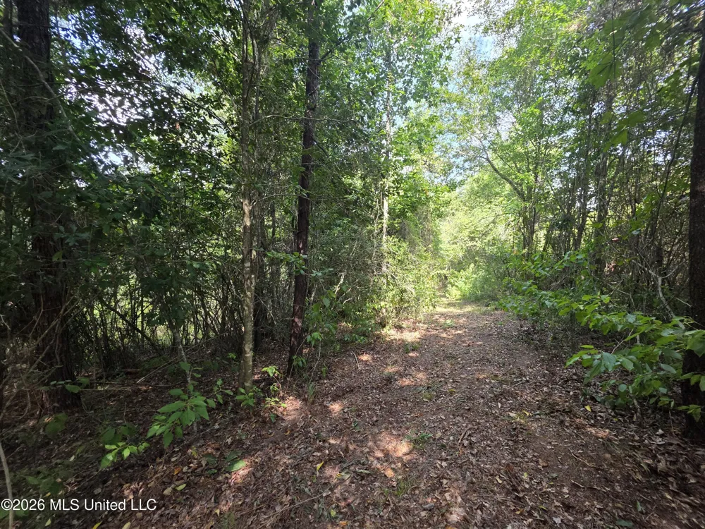 Mount Carmel Road Prentiss, MS 39474
