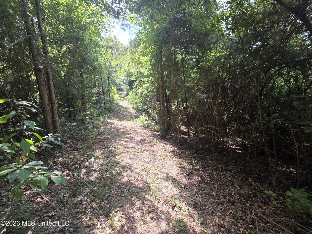 Mount Carmel Road Prentiss, MS 39474