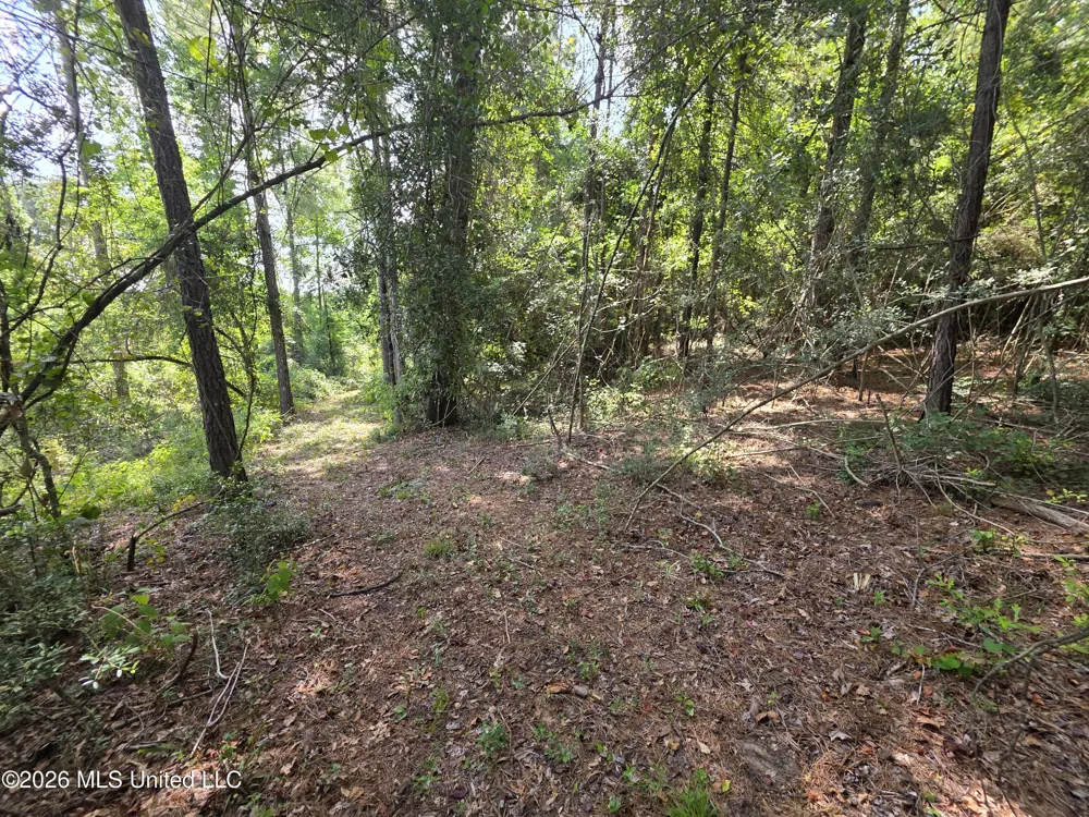 Mount Carmel Road Prentiss, MS 39474