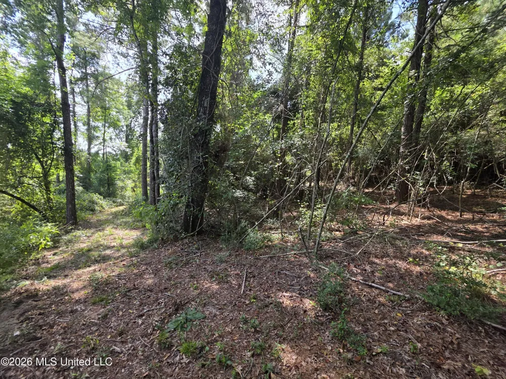 Mount Carmel Road Prentiss, MS 39474