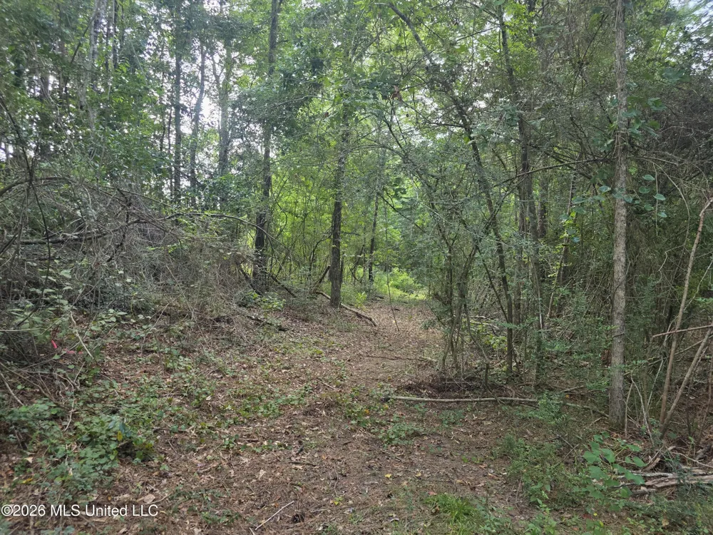 Mount Carmel Road Prentiss, MS 39474