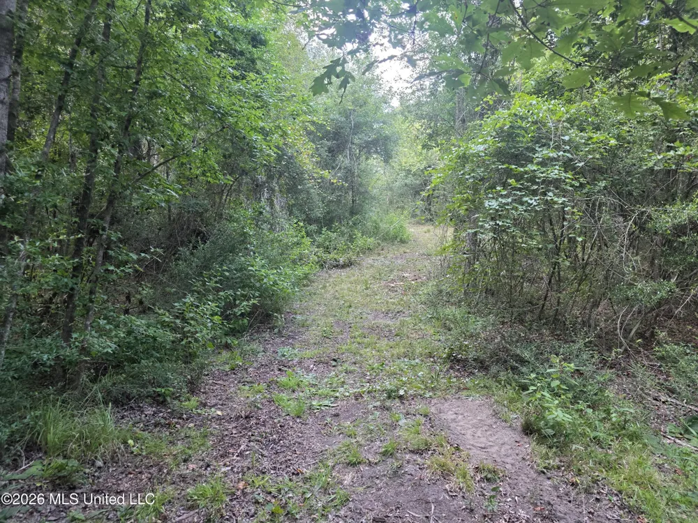 Mount Carmel Road Prentiss, MS 39474