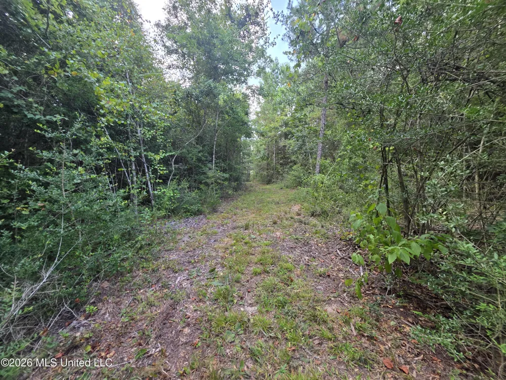 Mount Carmel Road Prentiss, MS 39474
